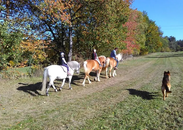 Apartman Na Farme U Koni